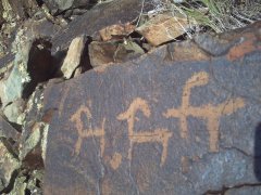Petroglyphics of Qyzyl-qara (Jarma region, Kazakhstan) 