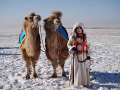 Монголка с верблюдами