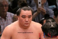 Очердной монгольский чемпион по сумо