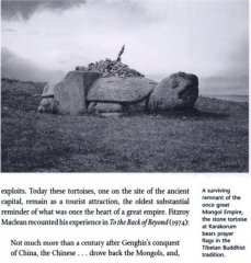 Каменная черепаха из Каракорума