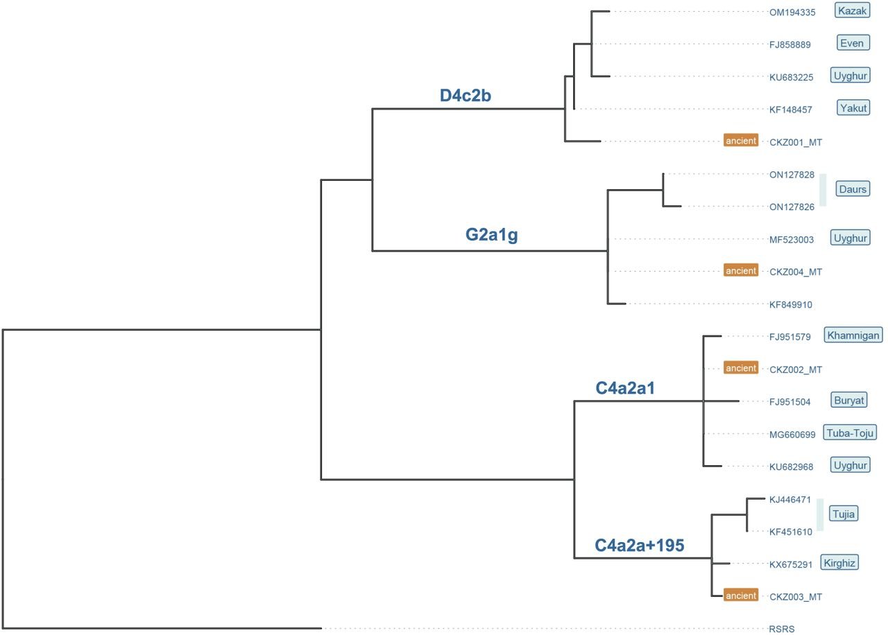 F6.large.jpg.5a70bbaca67c79098cce901944b